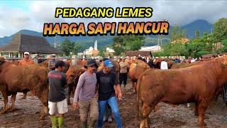 HARGA SAPI LEMON HANCUR PEDAGANG LEMES Pasar Sapi Plaosan