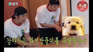 [당황TV 실험] 강아지는 과연 쌍둥이를 구별할까~?