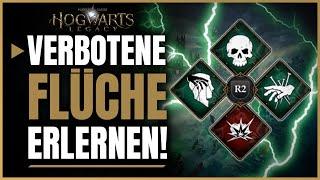 Hogwarts Legacy Avada Kedavra, Crucio und Imperio lernen