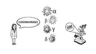 simpleshow explains the corona virus - updated version