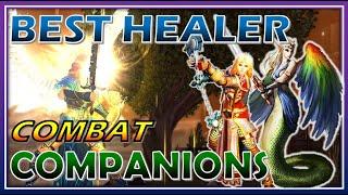 BEST Healer Companion to Use Mod 21 - Indom Runes Effective? Testing & Comparing 19 - Neverwinter