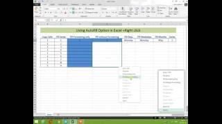 Excel AutoFill Option