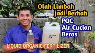 Cara Mengolah Air Cucian Beras Menjadi POC Super Efektif untuk Pertumbuhan Tanaman