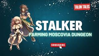 Stalker farming Mavka 3 Different Builds | Talon Tales