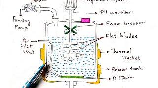 Submerged fermentation process | Fed batch and continuous fermentation | Bio science