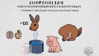 Поставь жизнь на паузу. Анабиоз и крионика.