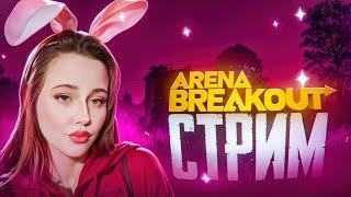 ПОЛНЫЙ ЧИЛЛ В ARENA BREAKOUT!