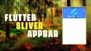 Sliver app bar Flutter example | Flutter Collapsing Animated App Bar