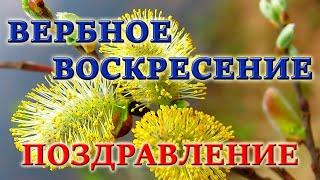 ОЧЕНЬ КРАСИВОЕ ПОЗДРАВЛЕНИЕ! ВЕРБНОЕ ВОСКРЕСЕНЬЕ. 2021. Торжественный въезд Иисуса. МСЦ ЕХБ.