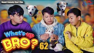 WHAT'S UP BRO - 62 | BHIMPHEDI GUYS | COMEDY SHORT FILM 2024 | सिरो पप्पिको कथा | NEPALI SHORT FILM.