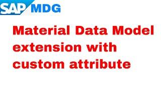 Material data model extension with custom attribute