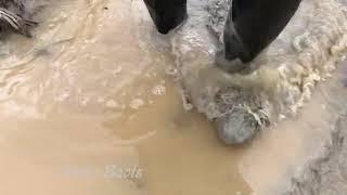 Walking on a dirt road in rubber waders. Part-5(15/09/19)