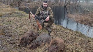 Охота на бобра весной. На лодке с мотором.