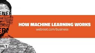 Real-Time URL Classification Using Advanced Machine Learning | Webroot