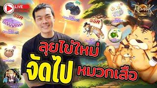 ROL Thailand Live Ep.56 จัดไปลุยไข่เสือ