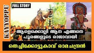 തെച്ചിക്കോട്ടുകാവ് രാമചന്ദ്രന്റെ കഥ  | thechikottukavu ramachandran full story  2020 |kayyoppu