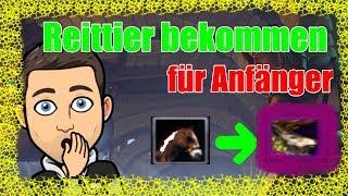 REITTIER bekommen als Anfänger NEVERWINTER [PS4 - deutsch]