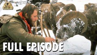 Wild America | Special E2 'Our Favorite Animals' | Wild America Animal Channel