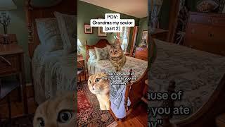 CAT MEMES Grandma my savior (part 2) #catmemes #relatable #relationship