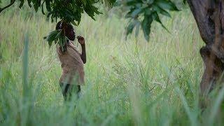 In Kony's Shadow - Norman Okello's story