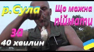 #Сула # Рибалка 40 хвилин #РибачуЯкУмію