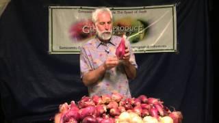 The Produce Beat - Torpedo Red Onions