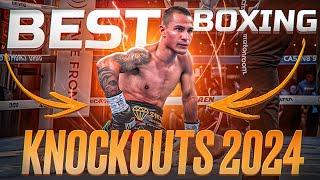 BEST BOXING KNOCKOUTS OF 2024 HIGHLIGHTS | NOVEMBER - DECEMBER | FULL FIGHT HD