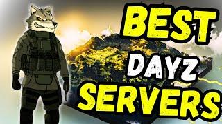 From Bored to Epic: Mastering PVP in DayZ Servers