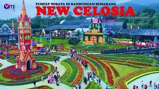 NEW CELOSIA BANDUNGAN | TEMPAT WISATA DI BANDUNGAN