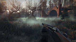 S.T.A.L.K.E.R. Lost Alpha DC Extended v2.86 Max settings #38 - Great Swamps !!