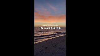 Sarasota's Top Beaches: Unveiling Your Perfect Coastal Escape