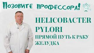 Helicobacter pylori.  Прямой путь к раку желудка