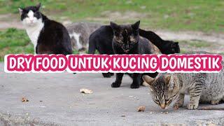 4 MEREK MAKANAN UNTUK KUCING KAMPUNG