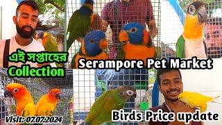 Recent Exotic Bird price update at Serampore Pet Market #pets #bird #trending