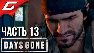 DAYS GONE (Жизнь После)  Прохождение #13  ТЕРПИ, БРАТ!