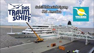 Das Traumschiff Schiffsbesichtigung / Rundgang / Ship Tour MS AMADEA Phoenix Reisen #cruise #travel