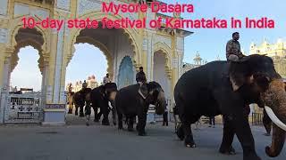 Mysuru Dasara Elephants Parade Rehearsal #mysore #dasara #elephant