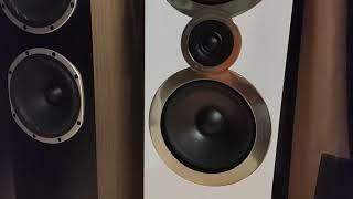 Floorstanding speakers Q Acoustics 3050i