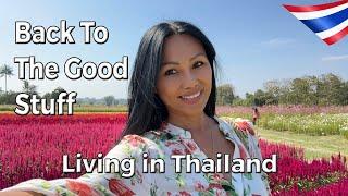 Back To The Good Stuff | Living in Thailand