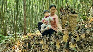 Harvesting bamboo shoots to sell at the market | Take care of farm animals