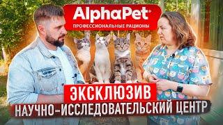 Кто тестирует корм? | Научно-исследовательский центр AlphaPet