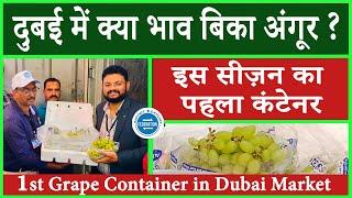Grape Export Selling Rate in Dubai Market. दुबई में क्या भाव बिका अंगूर ? इस सीज़न का पहला कंटेनर