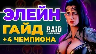 Элейн Raid Shadow Legends ️ Таланты + Гайд для Новичков ️ 2024