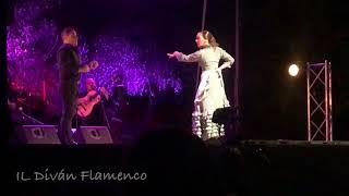 Los Viernes Flamencos de Jerez
