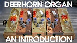 Ciat-Lonbarde Deerhorn Organ - An Introduction