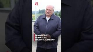 Лукашенко: Без дисциплины порядка не будет! #лукашенко #новости #политика #беларусь #shorts