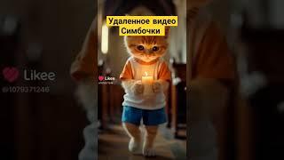 #хочуврек Удалённое видео Симбочки #симбочка #симбочкапимпочка