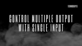 Control Multiple Output With Single Input