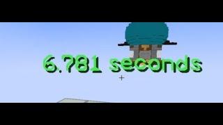 Ninja Bridge World Record on Hypixel