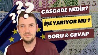 Cascade Nedir ? İşe Yarıyor mu ? Soru & Cevap